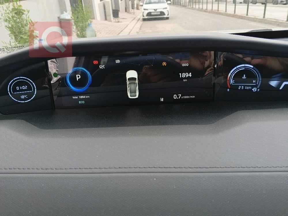 شانجان يوني في